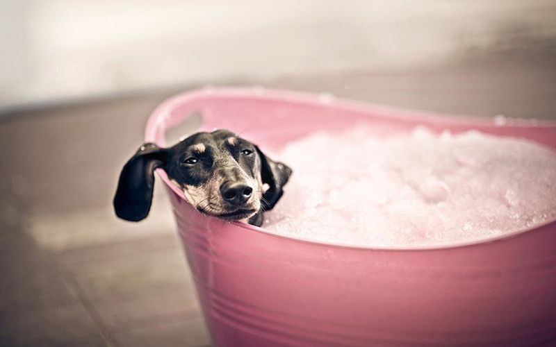 ���������