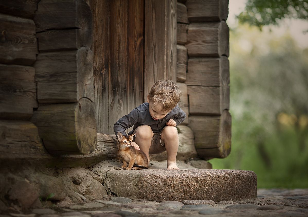 ���������