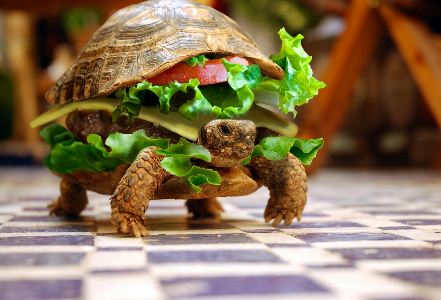 ���������