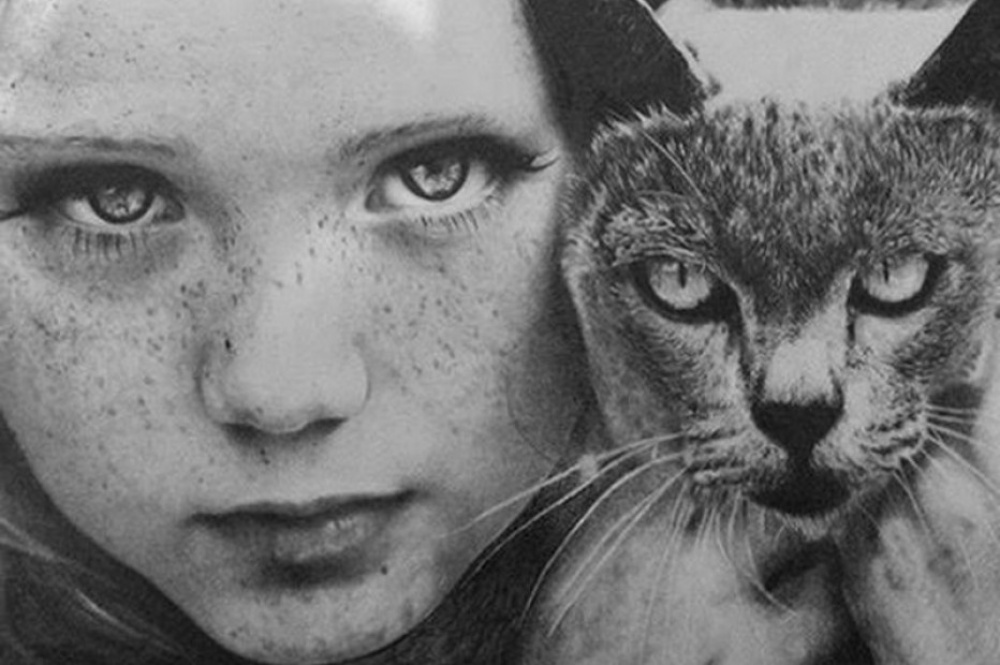 ���������