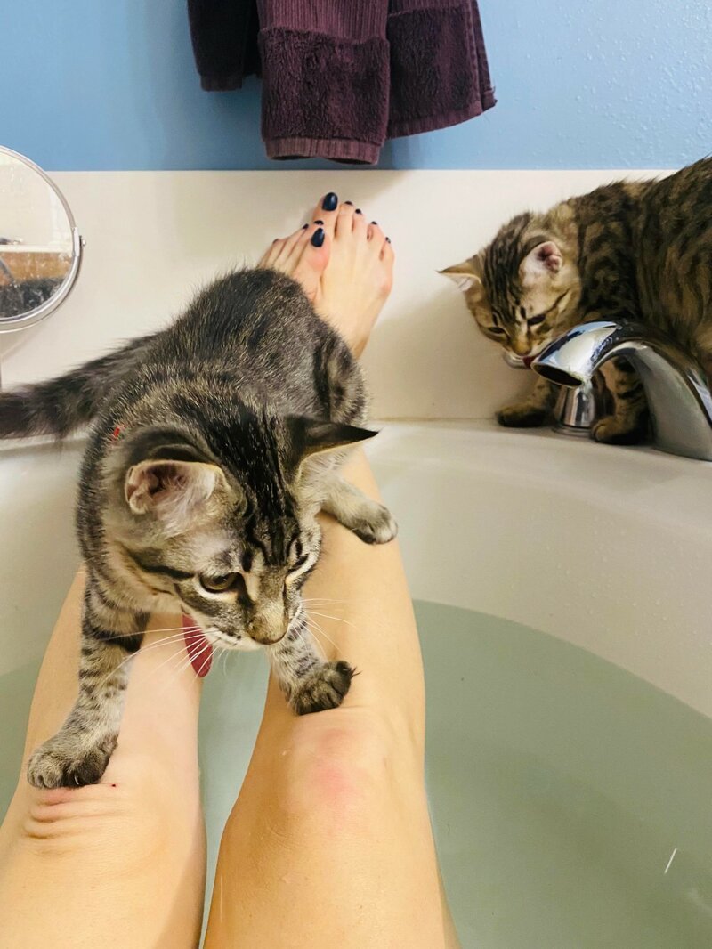 ���������