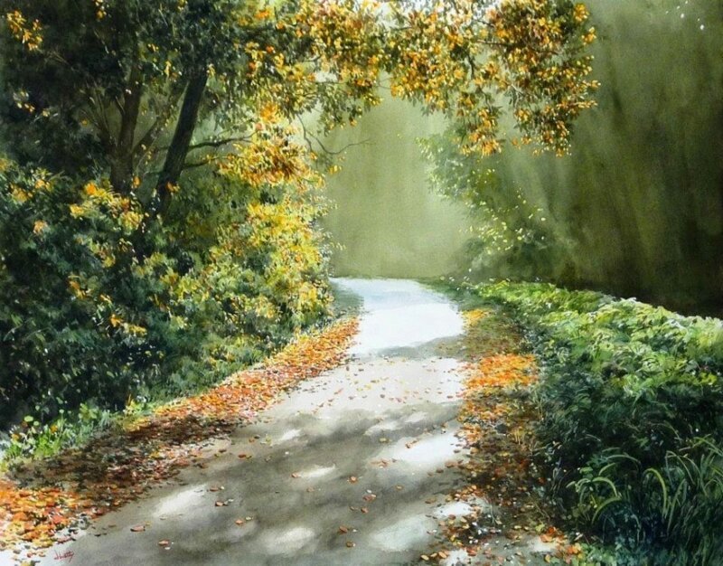 ���������