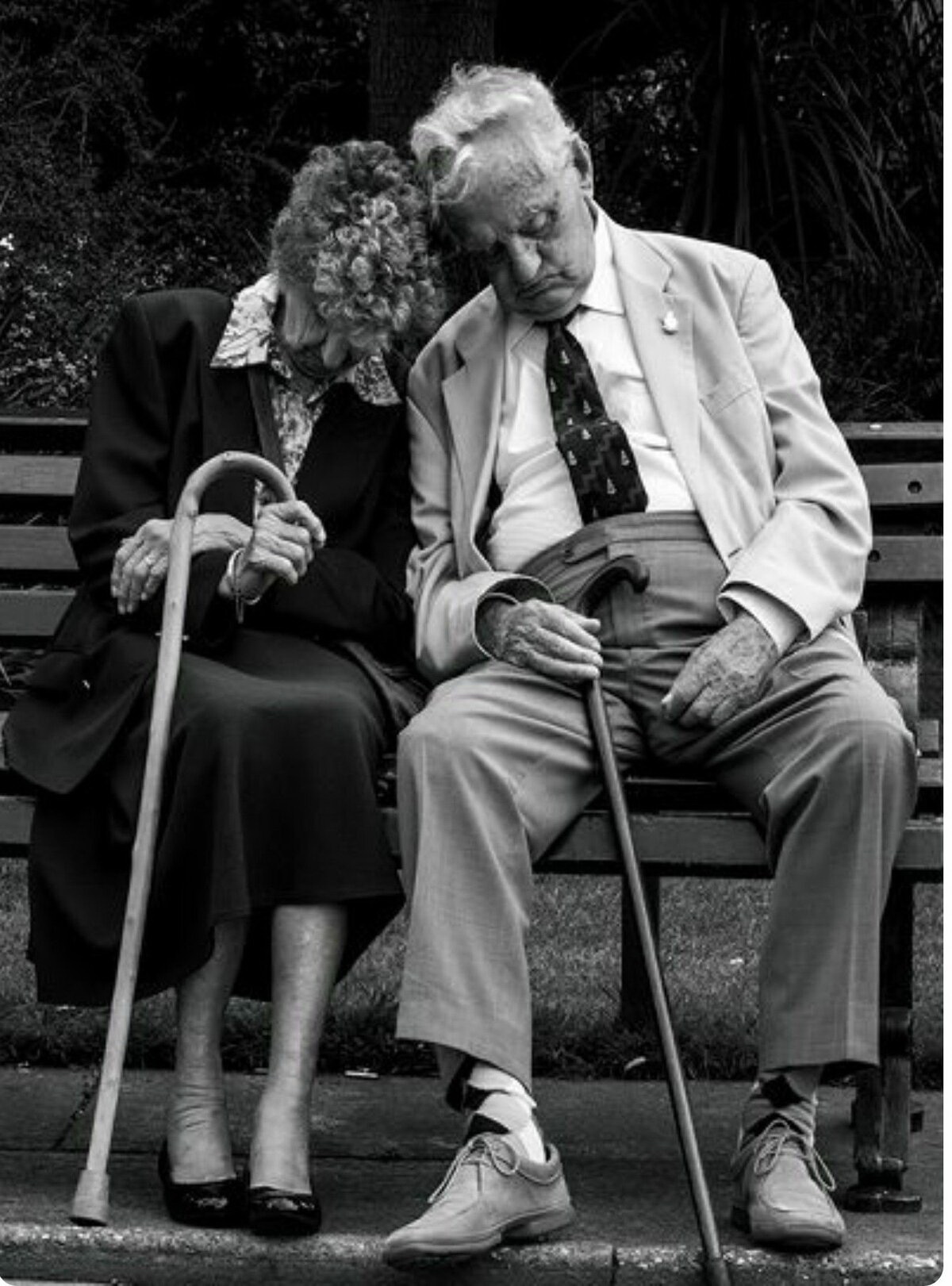 ���������