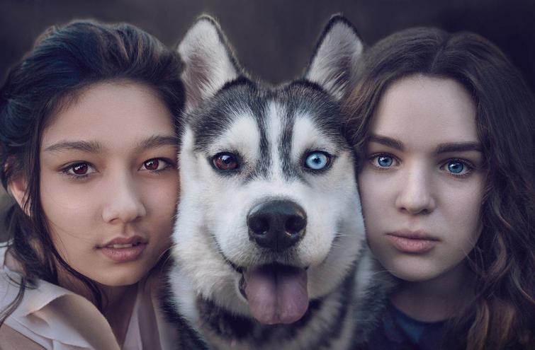 ���������