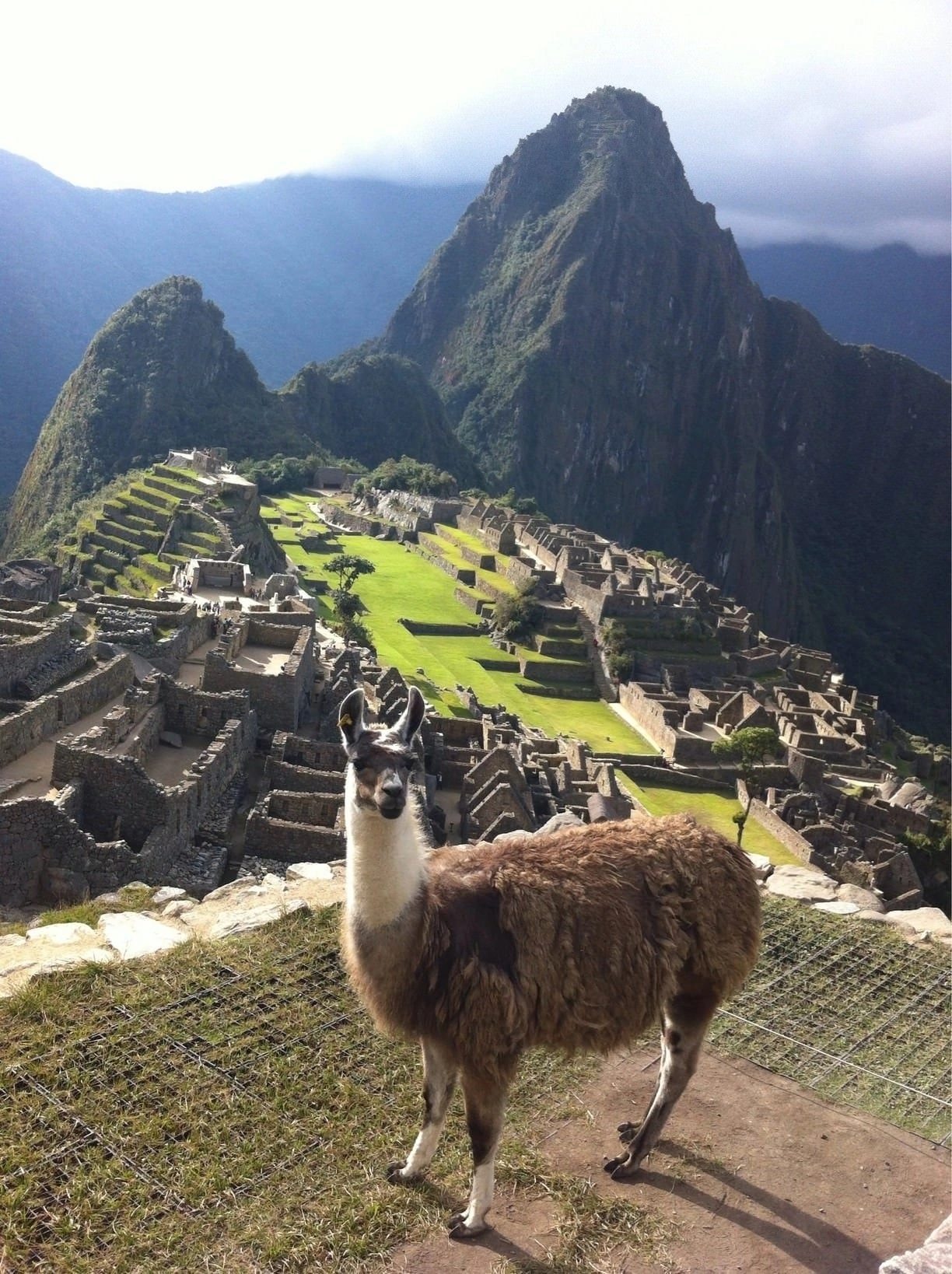 ���������