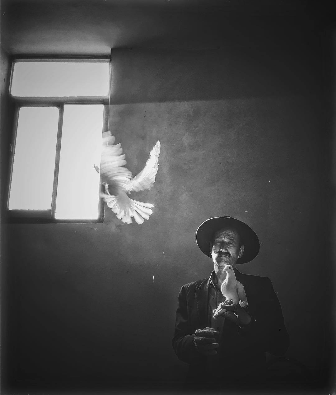 ���������