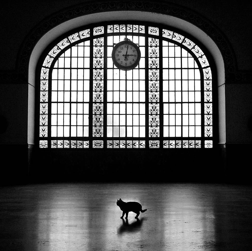 ���������