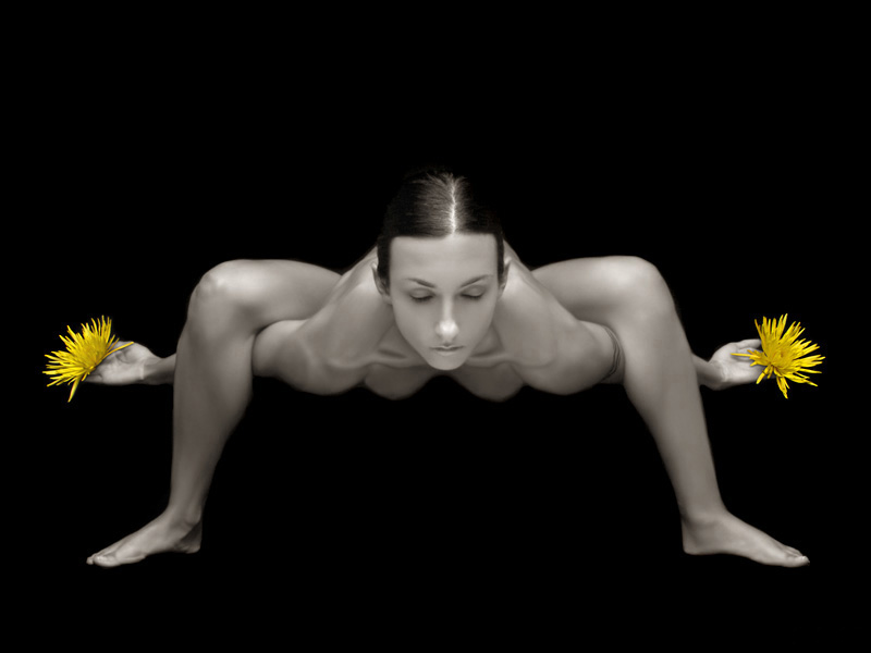 ���������