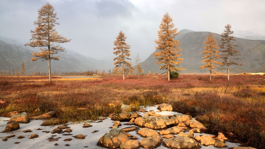 ���������