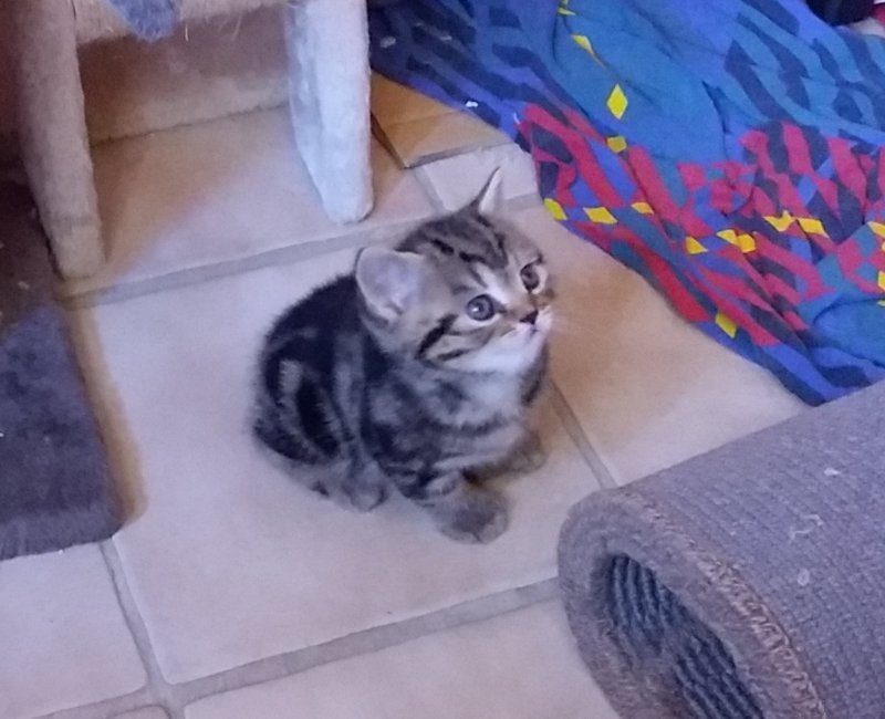 ���������