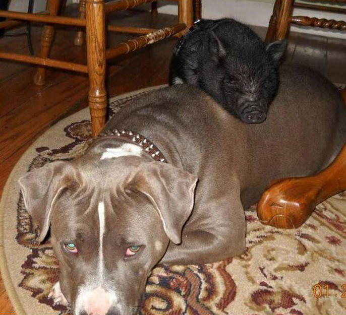 ���������