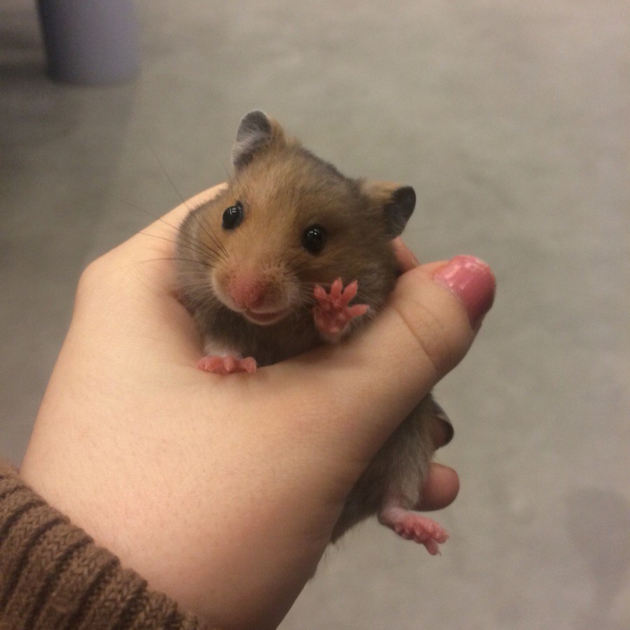 ���������