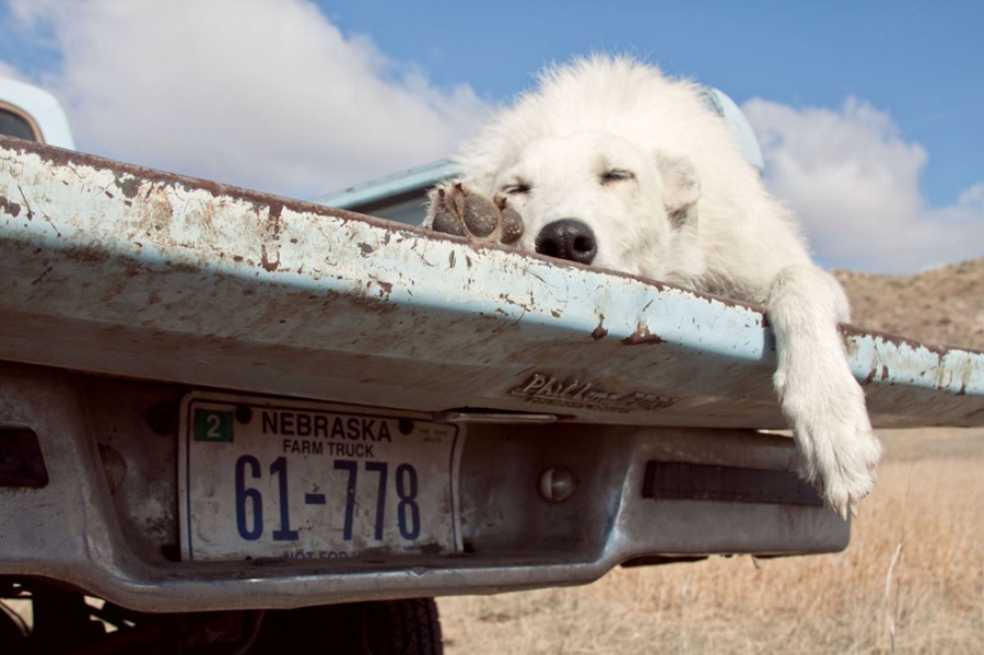 ���������