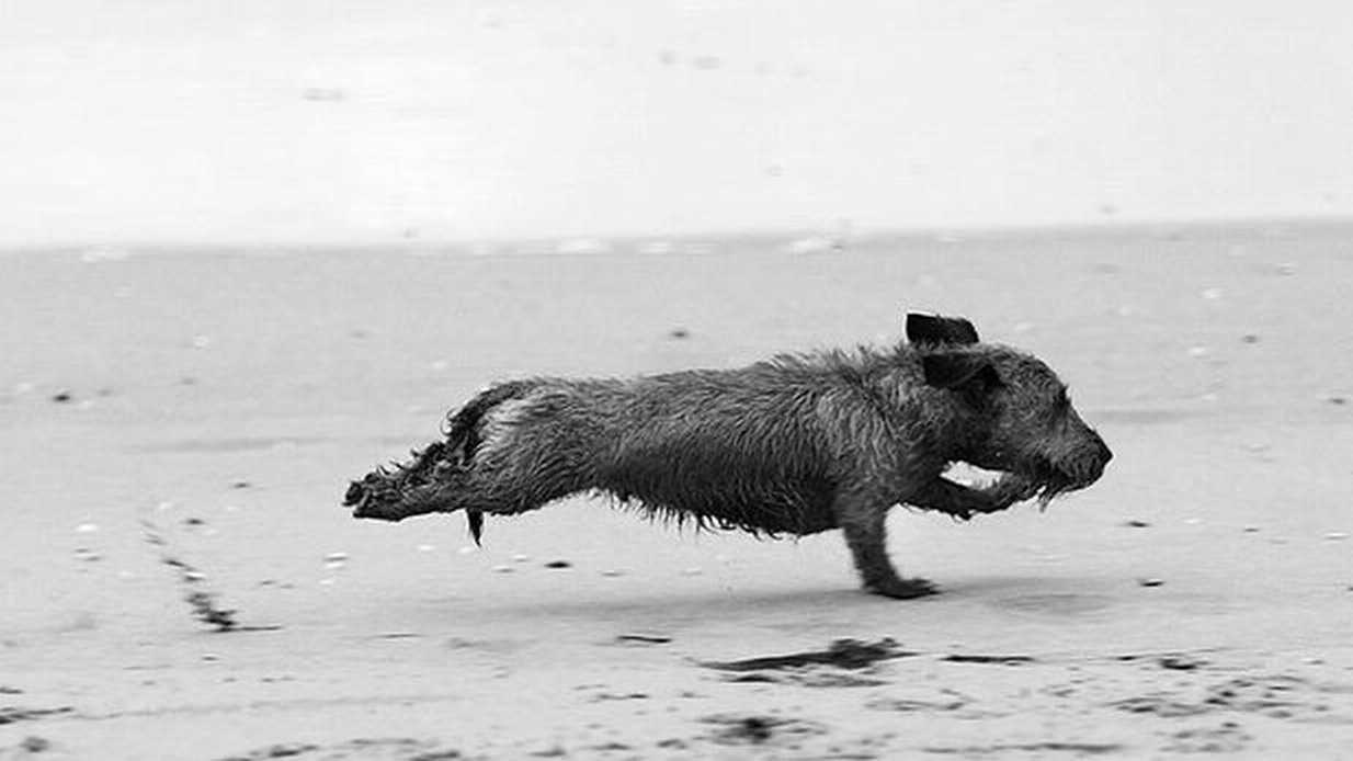 ���������