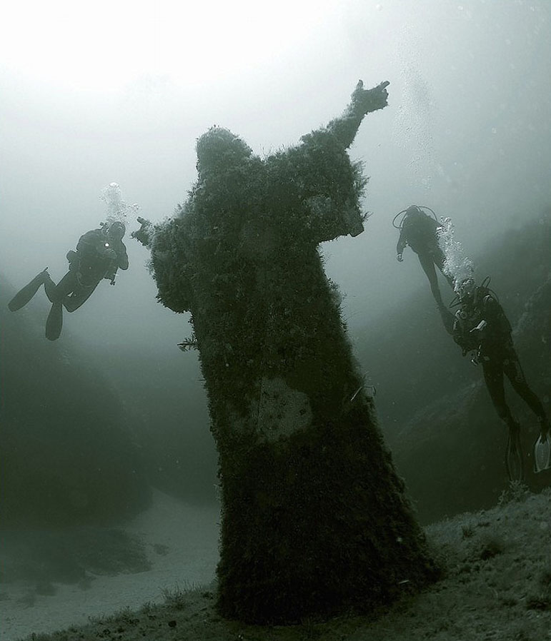 ���������