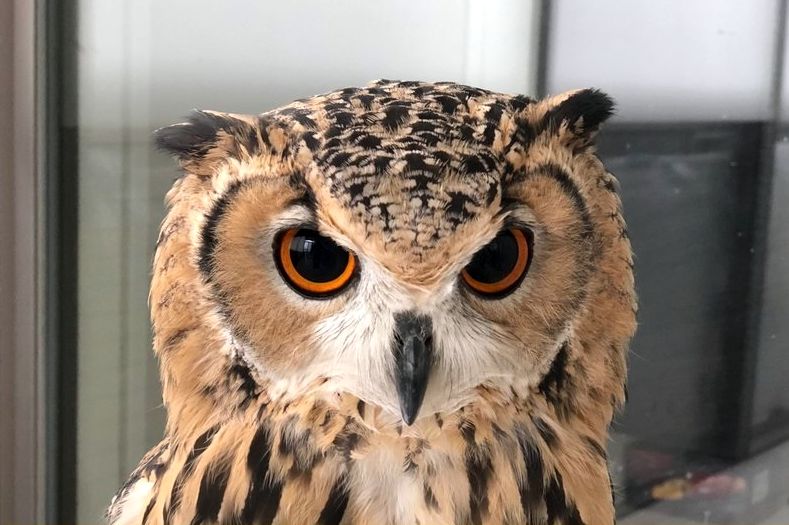 ���������