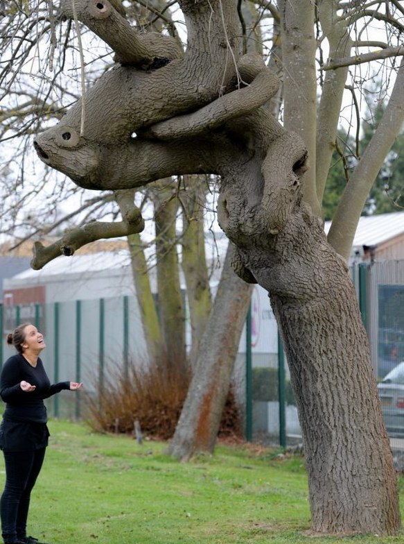 ���������