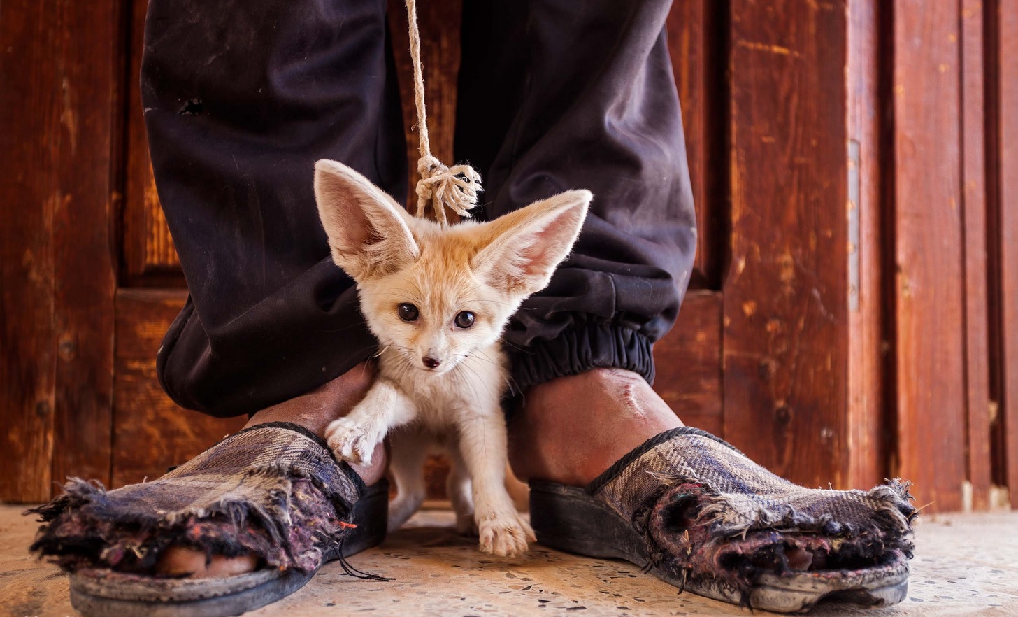 ���������