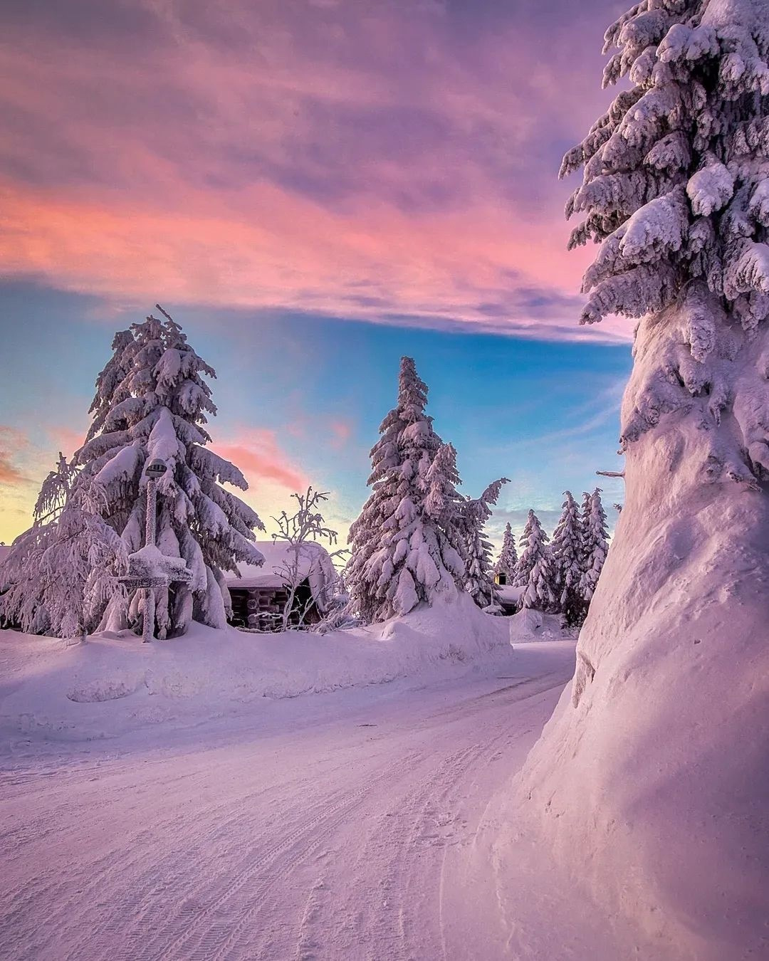 ���������