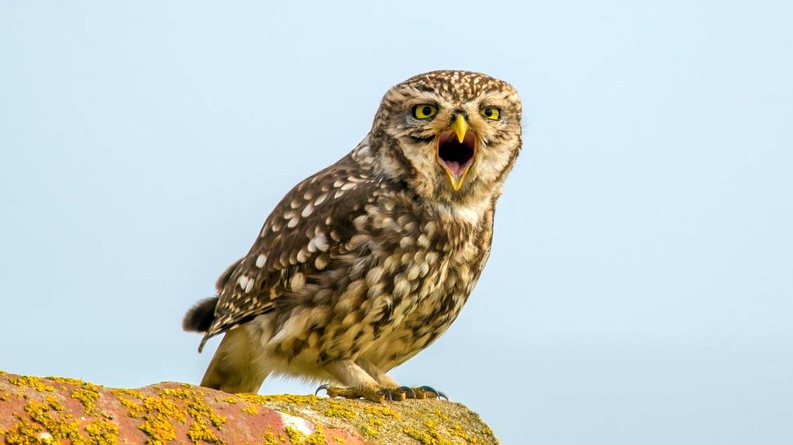 ���������