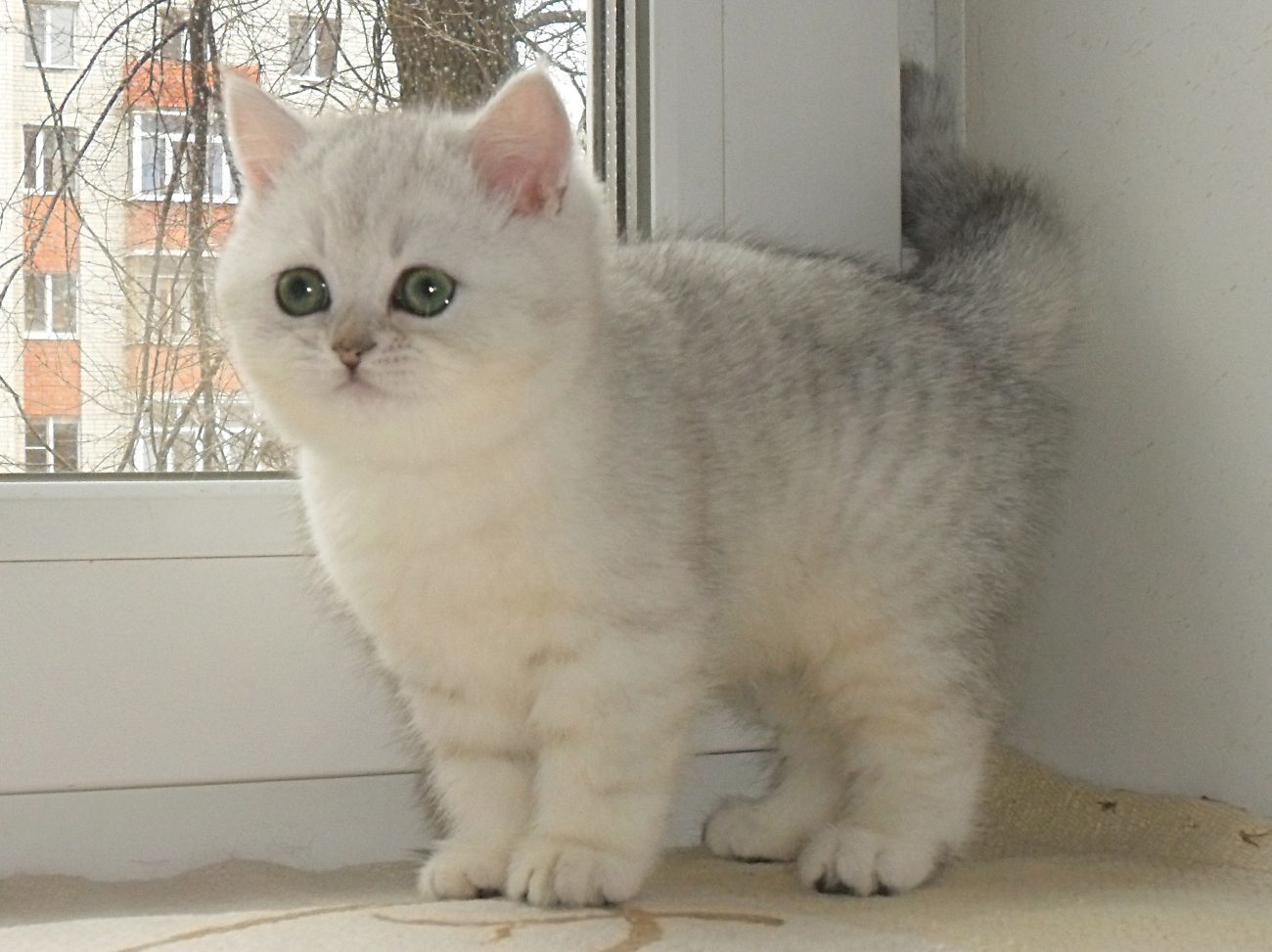 ���������