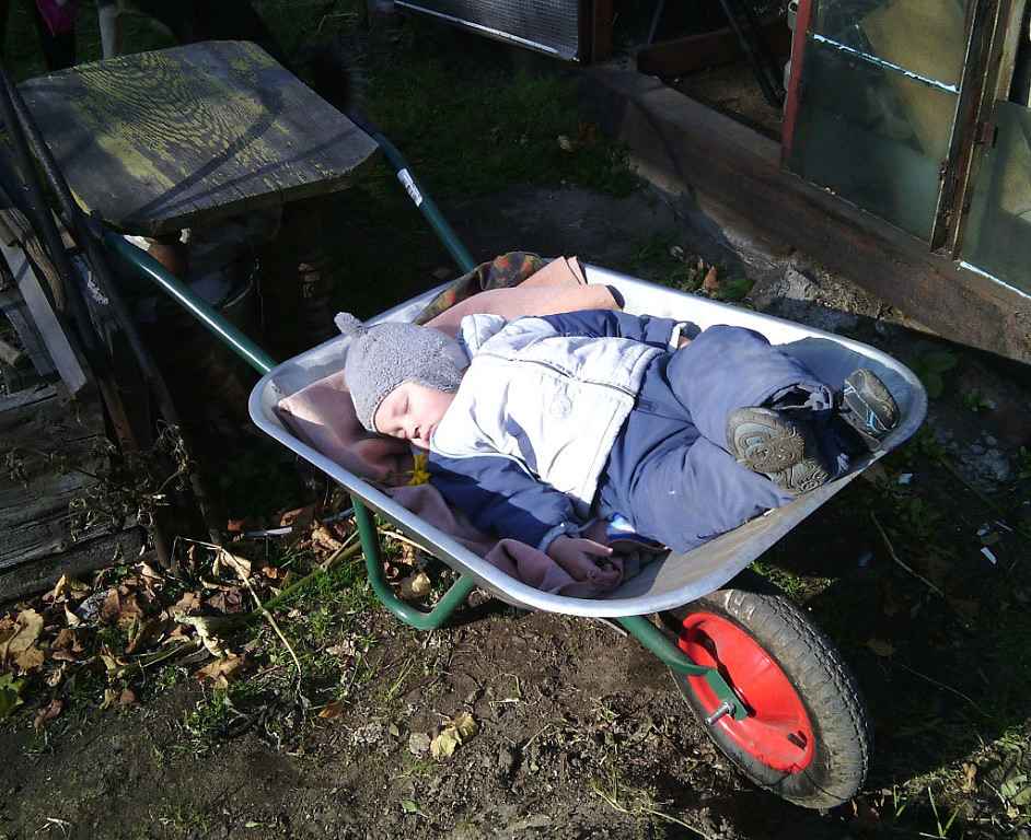 ���������