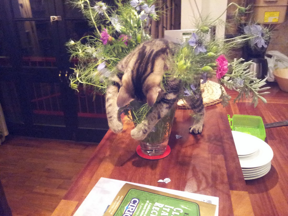 ���������