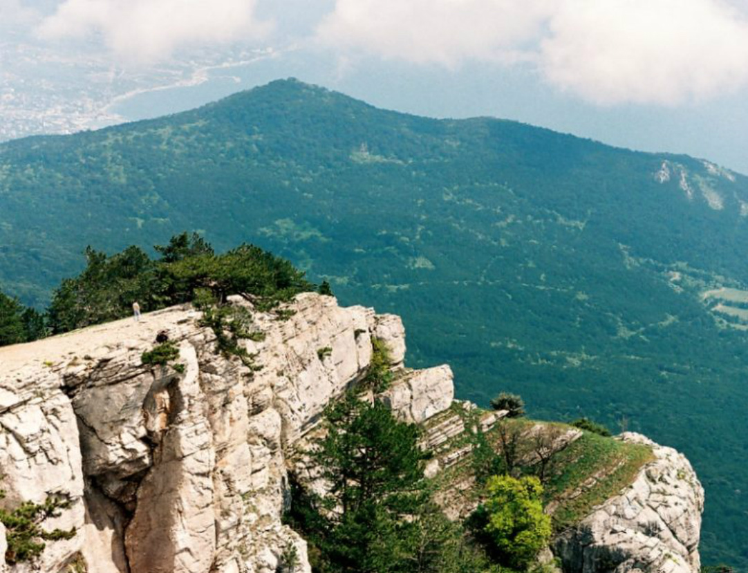 ���������