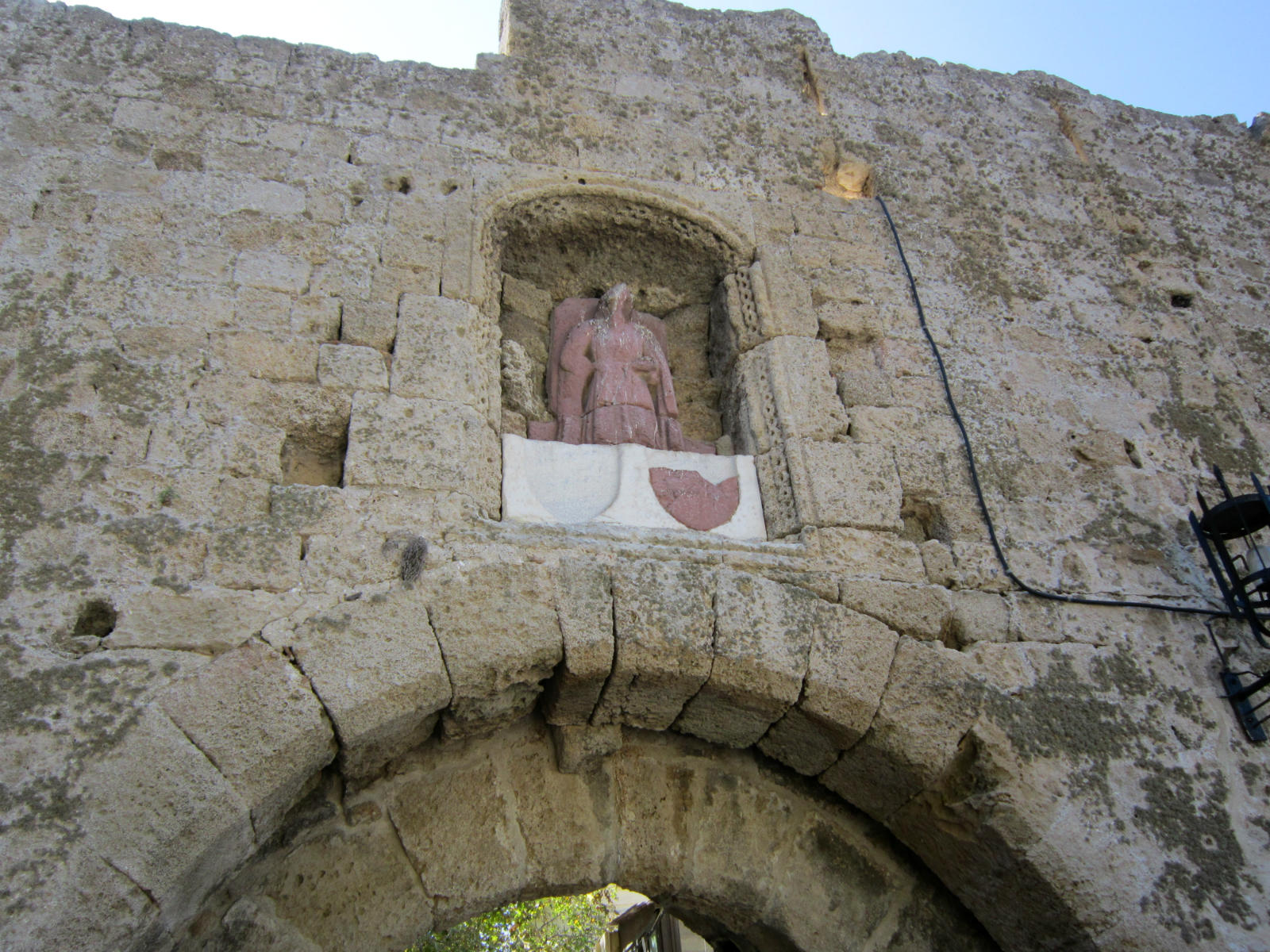 ���������