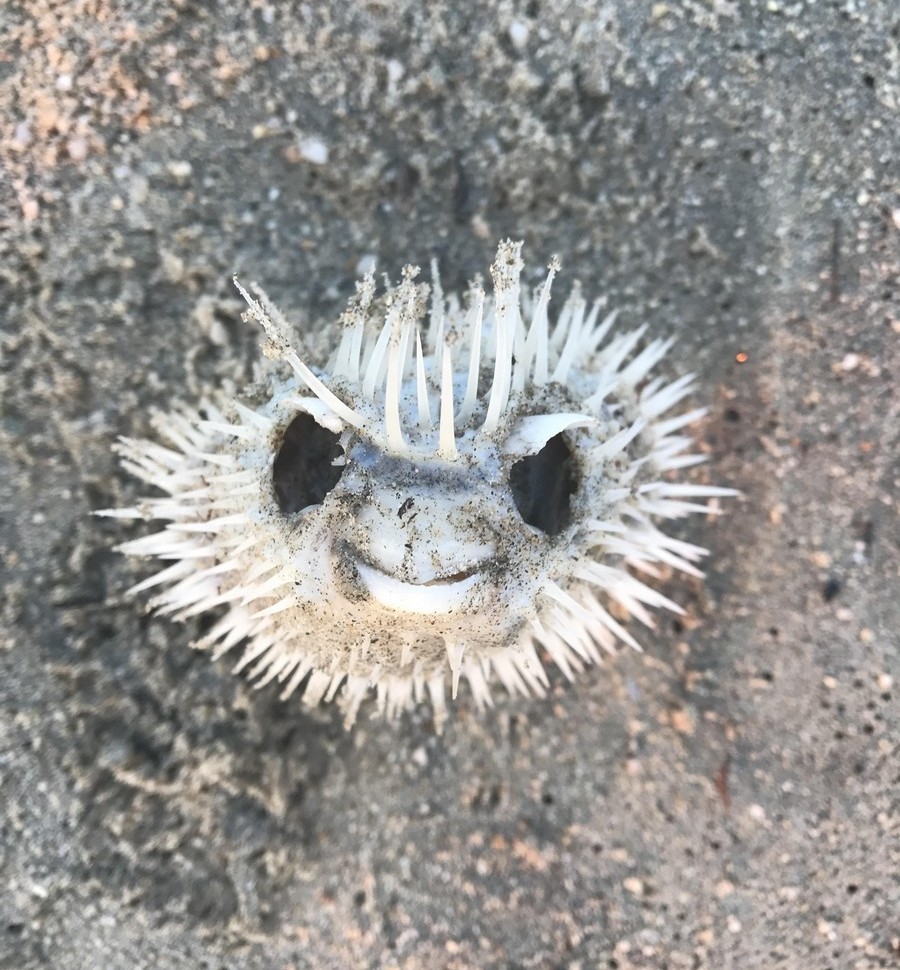 ���������