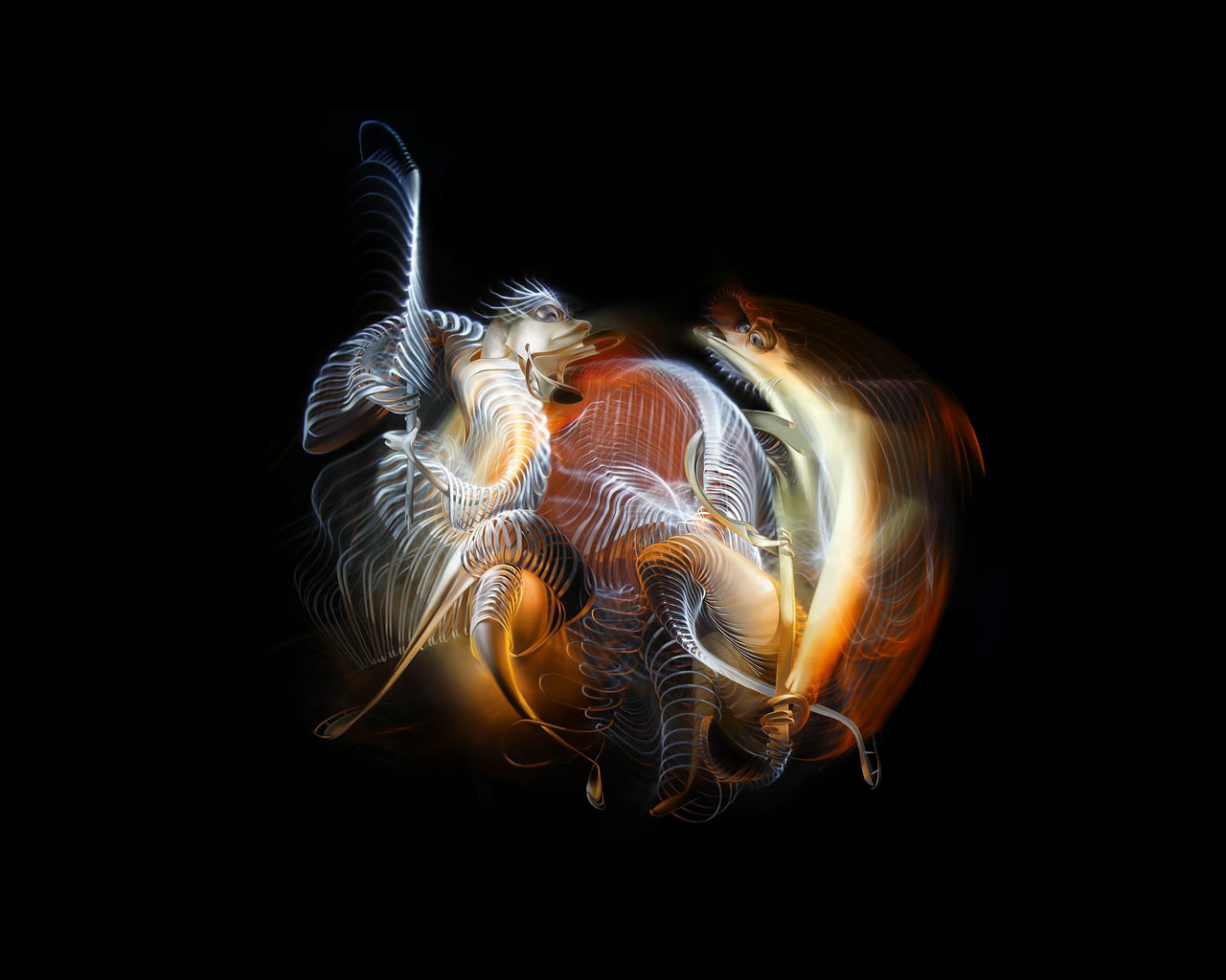 ���������