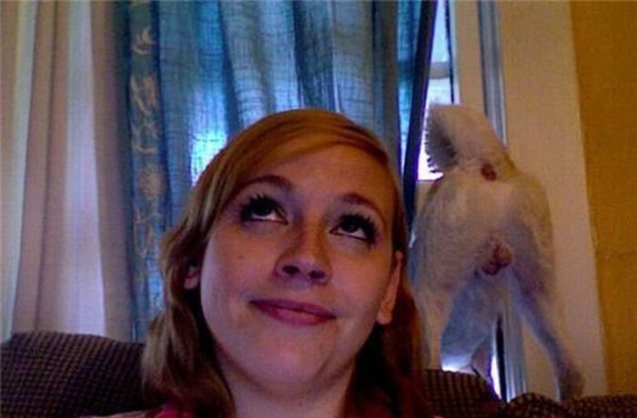 ���������