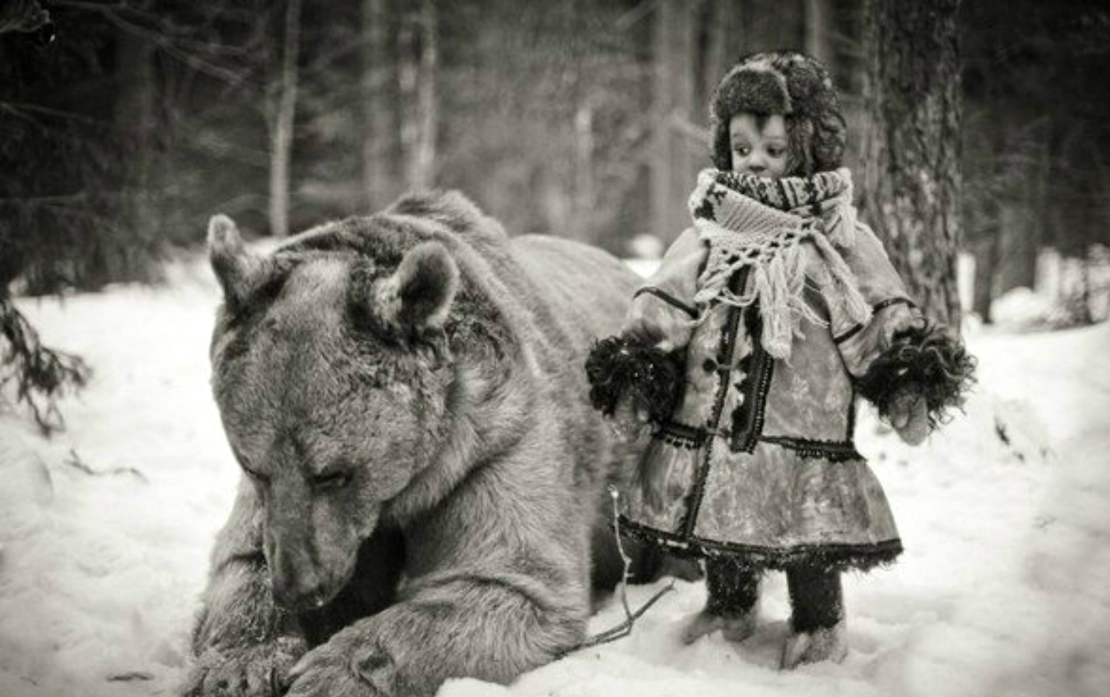 ���������