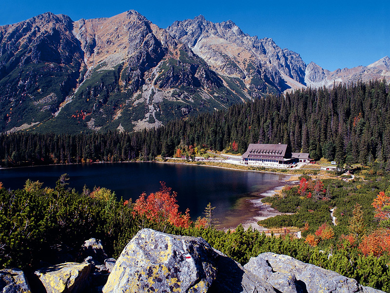 ���������