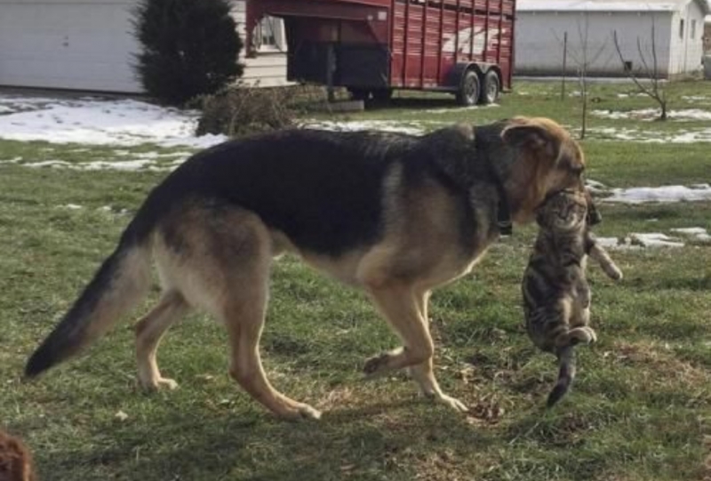 ���������