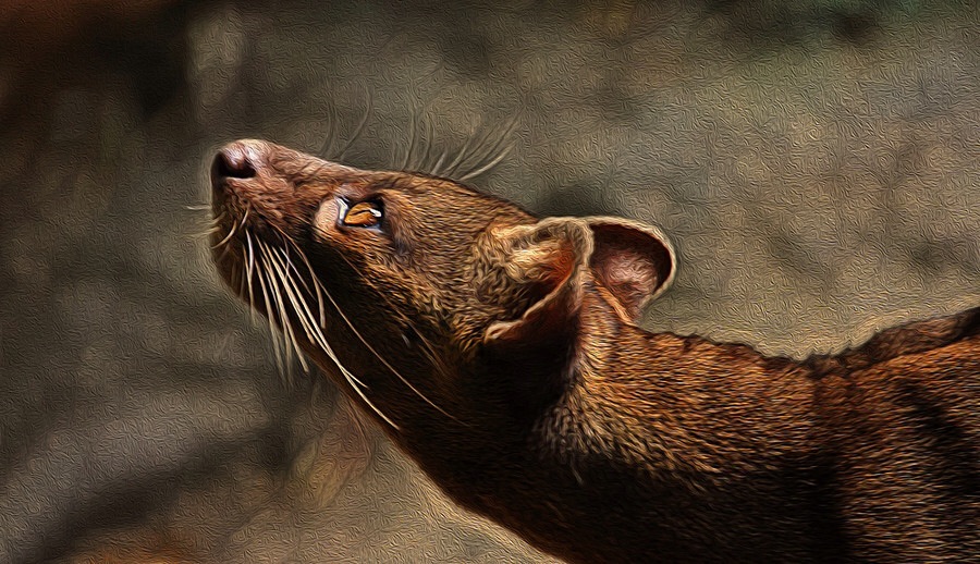 ���������