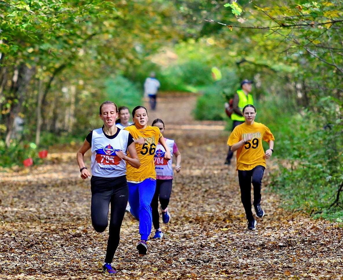 ���������