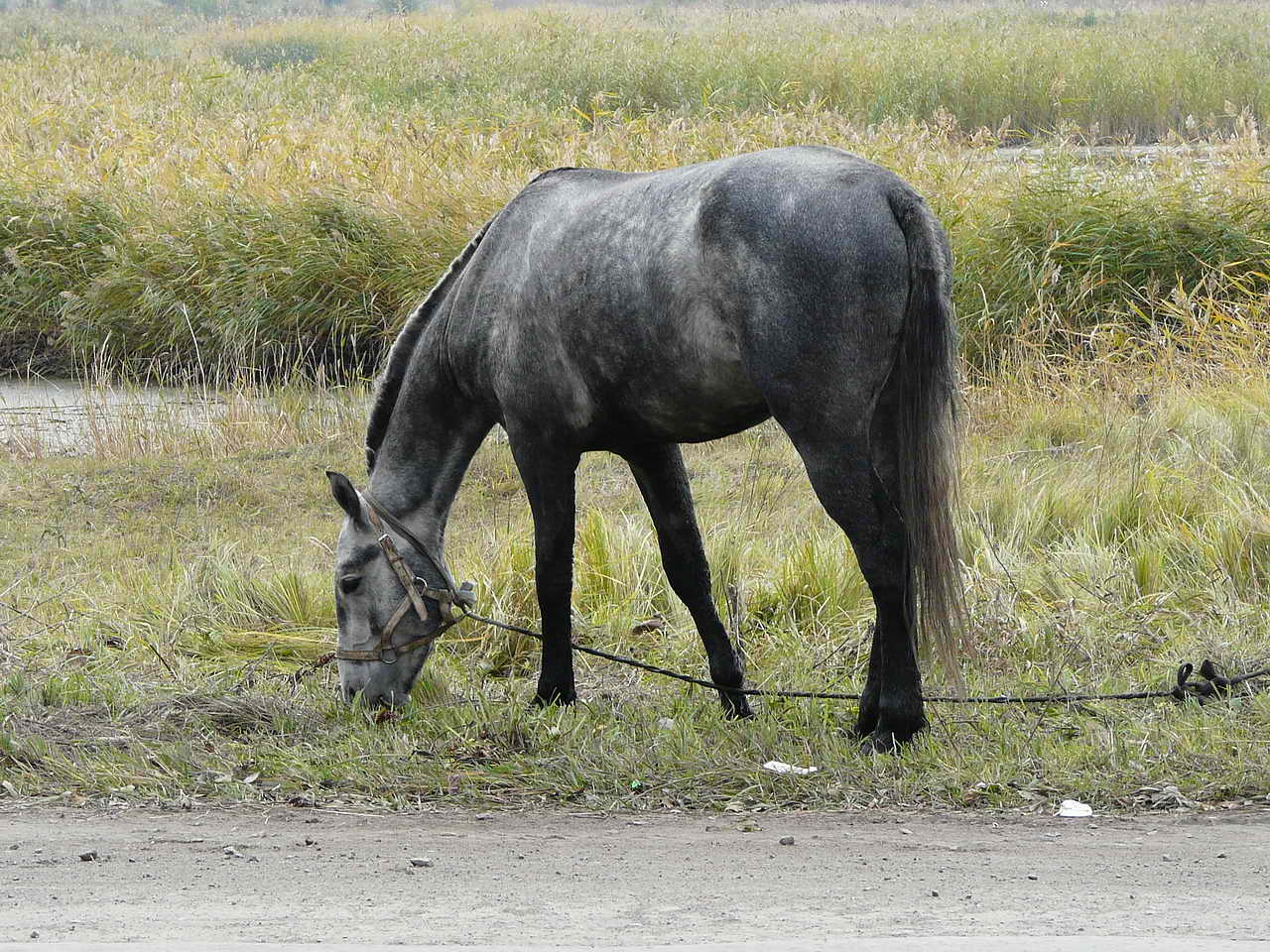 ���������