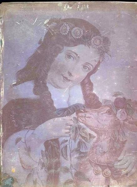 ���������