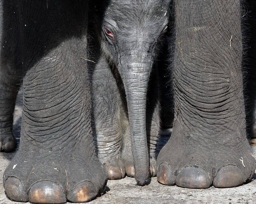 ���������