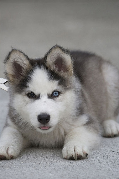 ���������