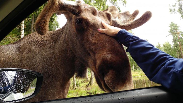 ���������