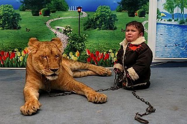 ���������