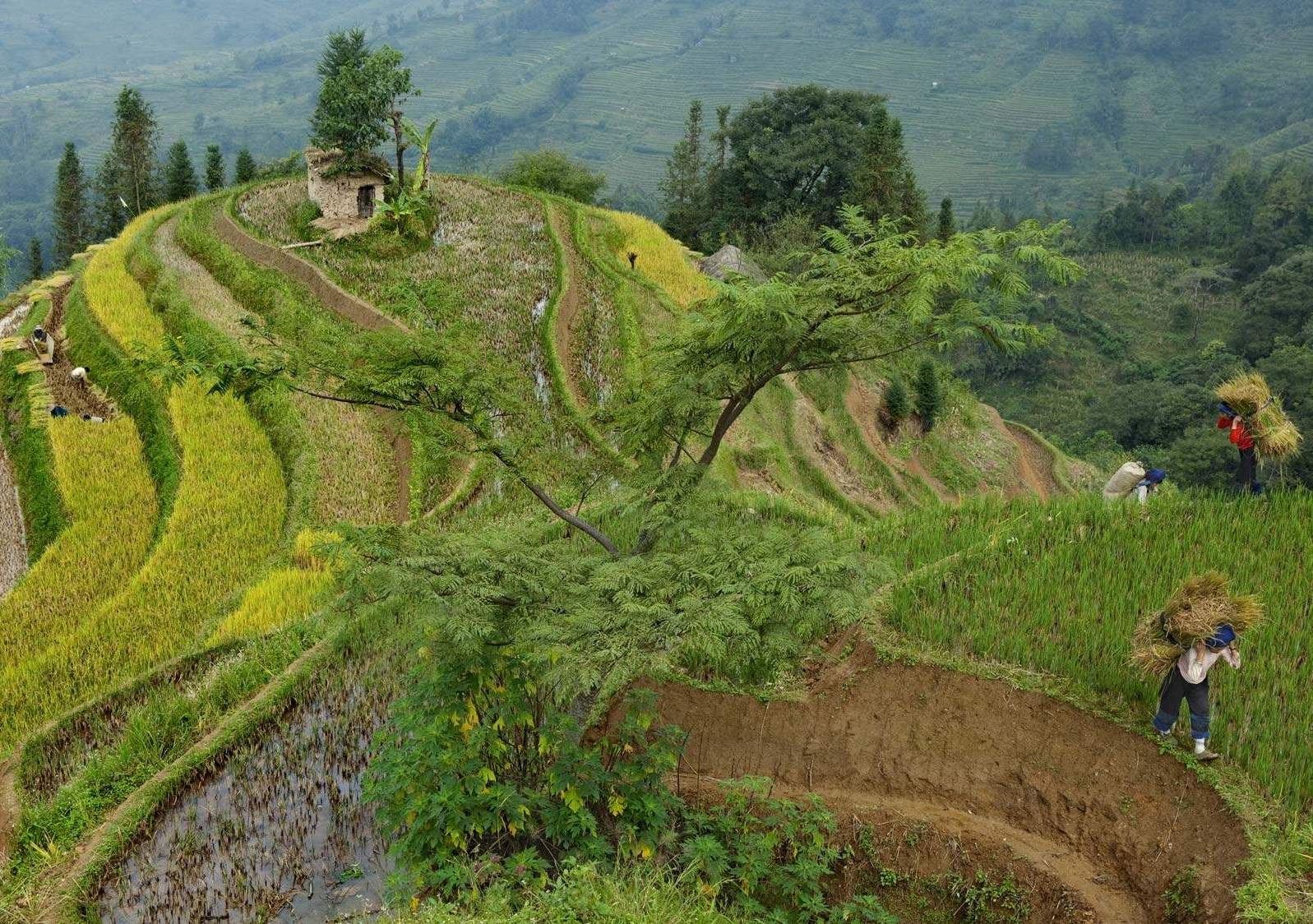 ���������