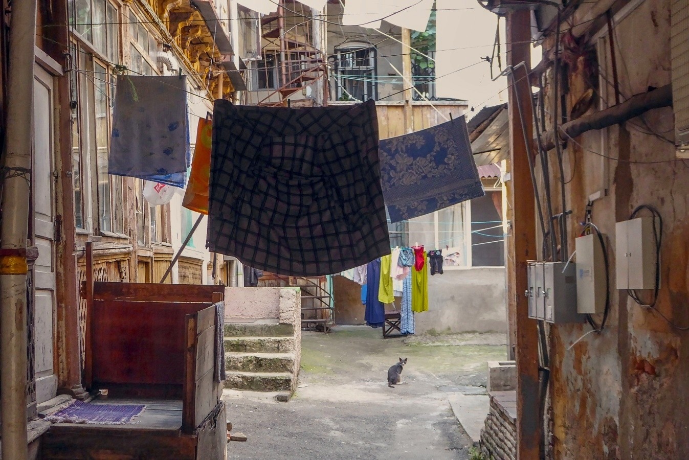 ���������