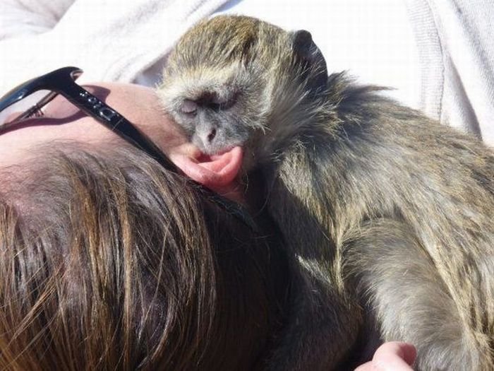 ���������