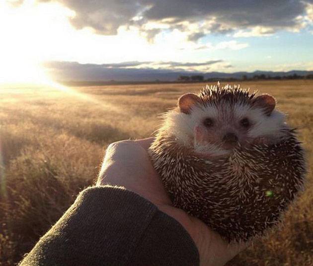 ���������