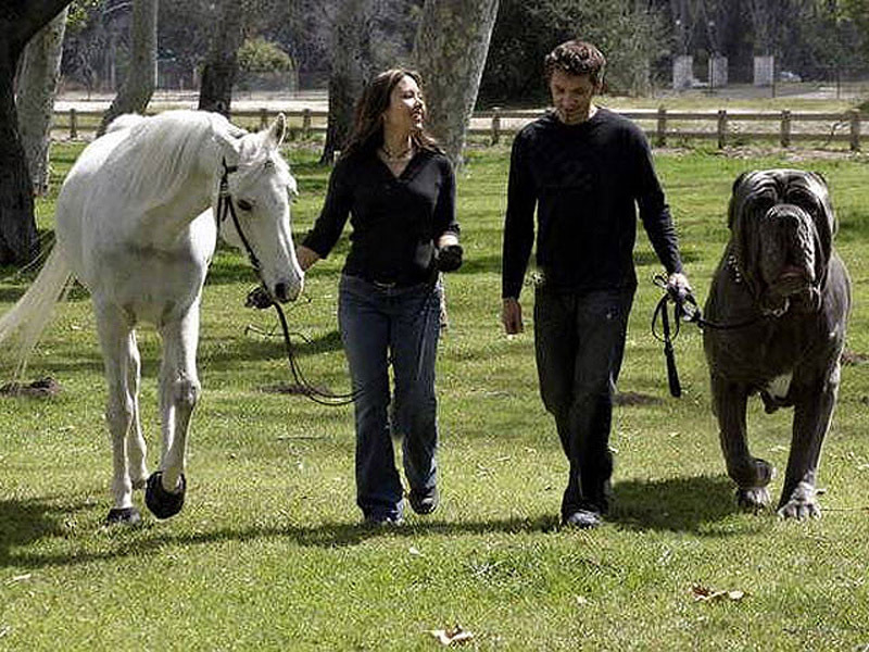 ���������