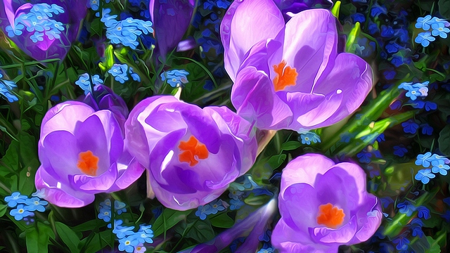 ���������