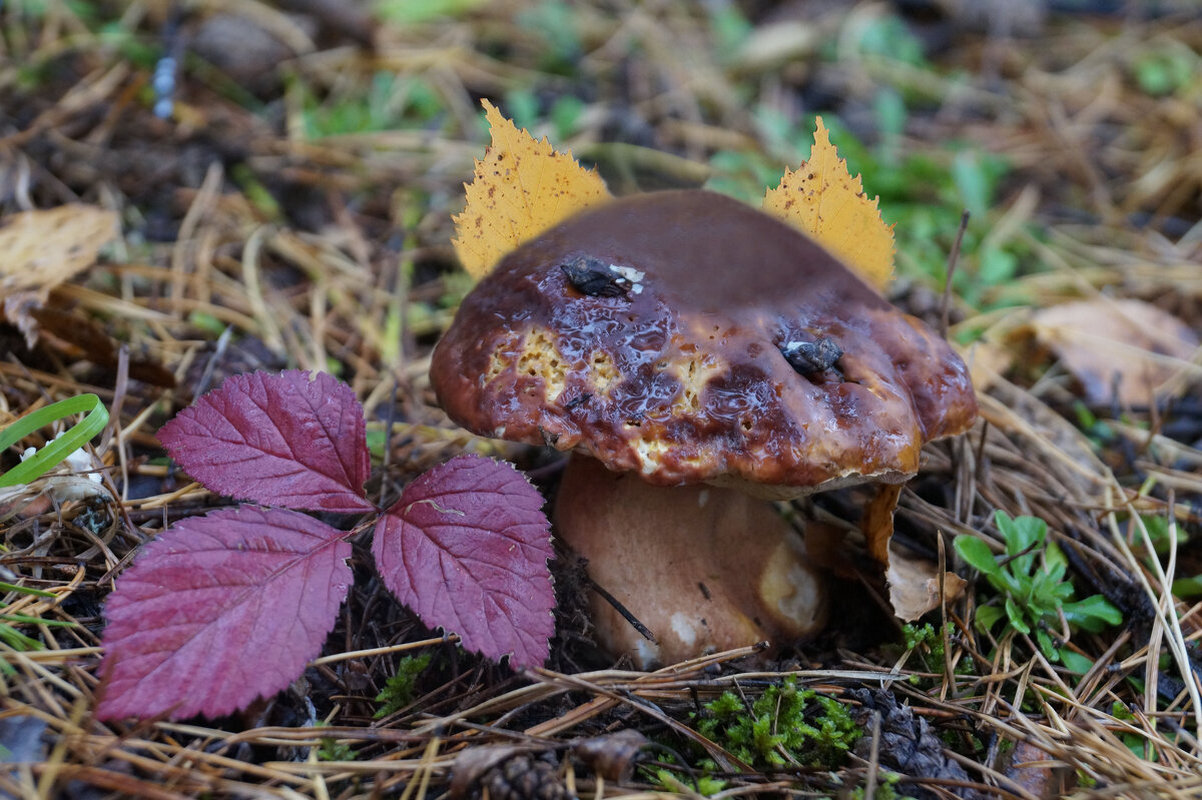 ���������